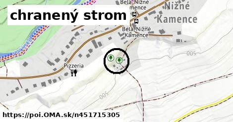 chranený strom