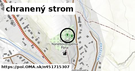 chranený strom