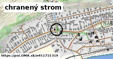 chranený strom