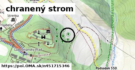 chranený strom