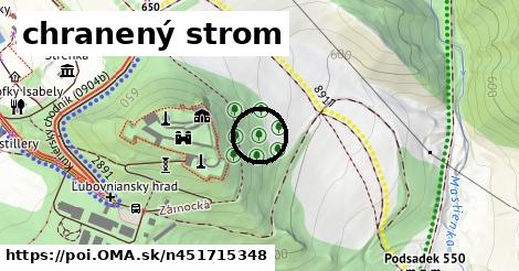 chranený strom