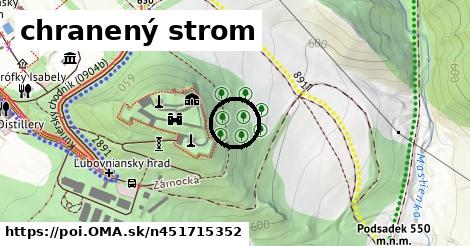 chranený strom