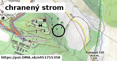 chranený strom