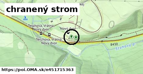 chranený strom