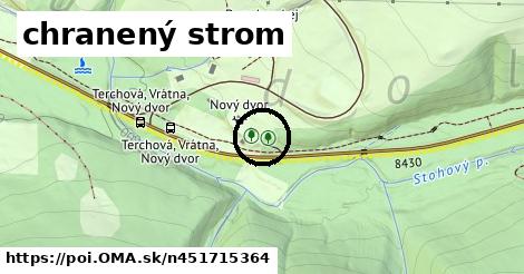 chranený strom