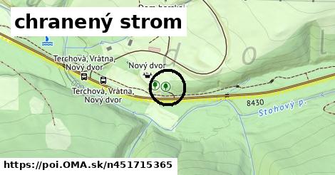 chranený strom