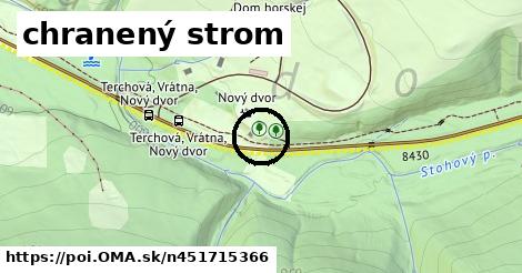 chranený strom