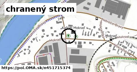 chranený strom