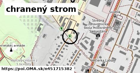 chranený strom