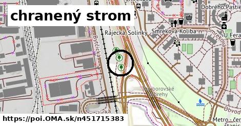 chranený strom