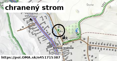 chranený strom