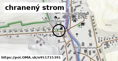 chranený strom