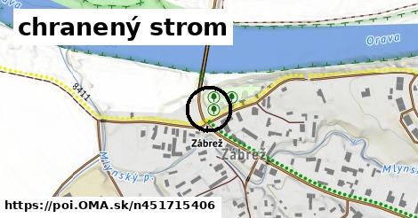 chranený strom