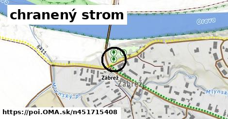 chranený strom