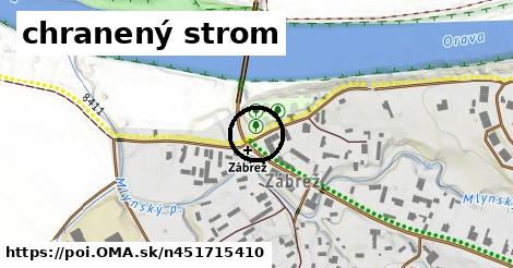 chranený strom