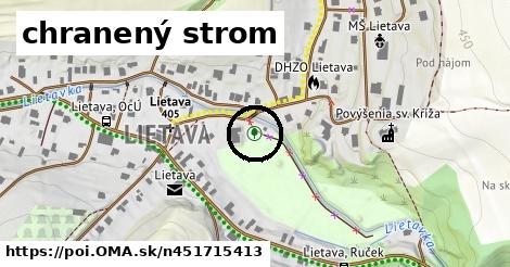 chranený strom