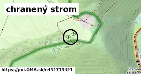 chranený strom