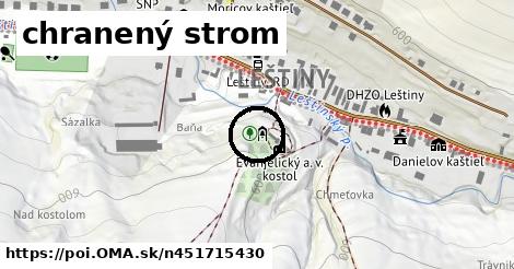 chranený strom