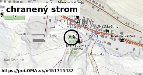 chranený strom