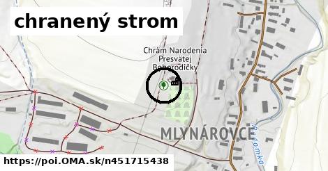 chranený strom