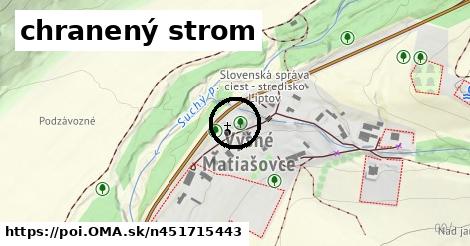 chranený strom