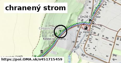 chranený strom