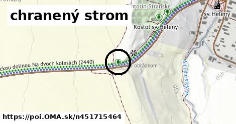 chranený strom