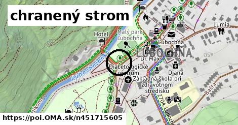 chranený strom