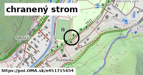 chranený strom