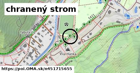 chranený strom