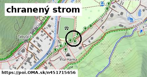 chranený strom