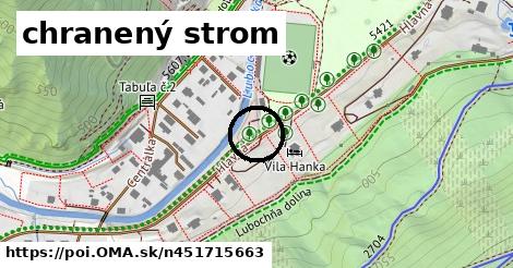 chranený strom