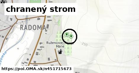 chranený strom