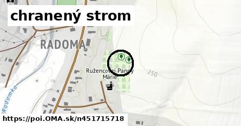 chranený strom