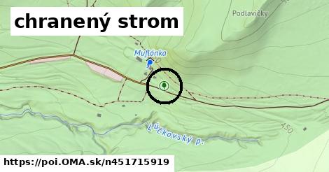 chranený strom