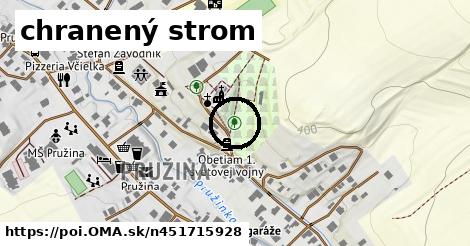 chranený strom