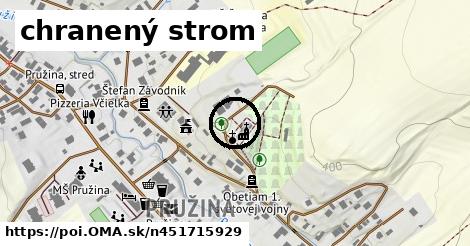 chranený strom