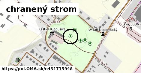 chranený strom