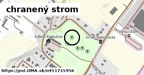 chranený strom