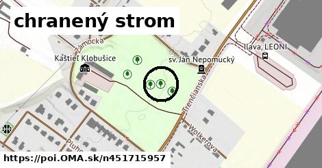 chranený strom