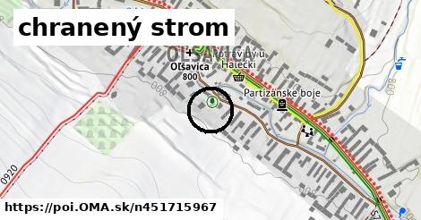 chranený strom