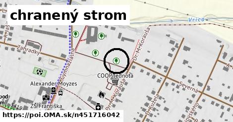 chranený strom