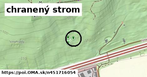 chranený strom