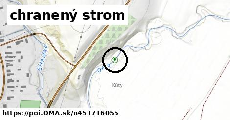 chranený strom