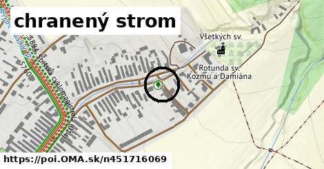 chranený strom