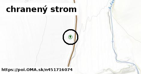 chranený strom