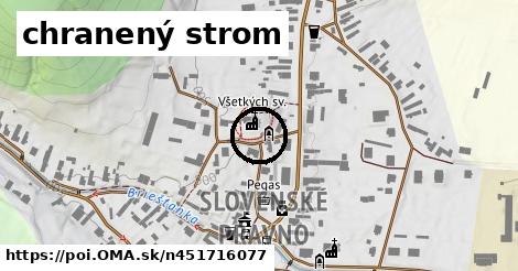 chranený strom