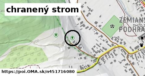 chranený strom