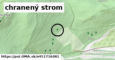 chranený strom