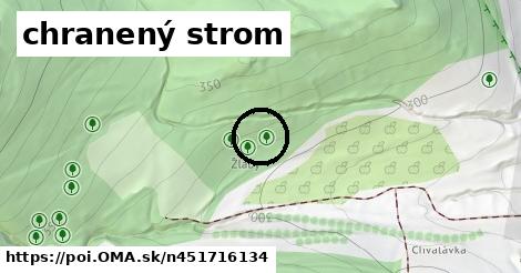 chranený strom